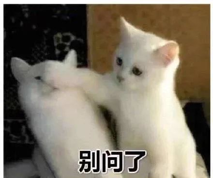 DƬ